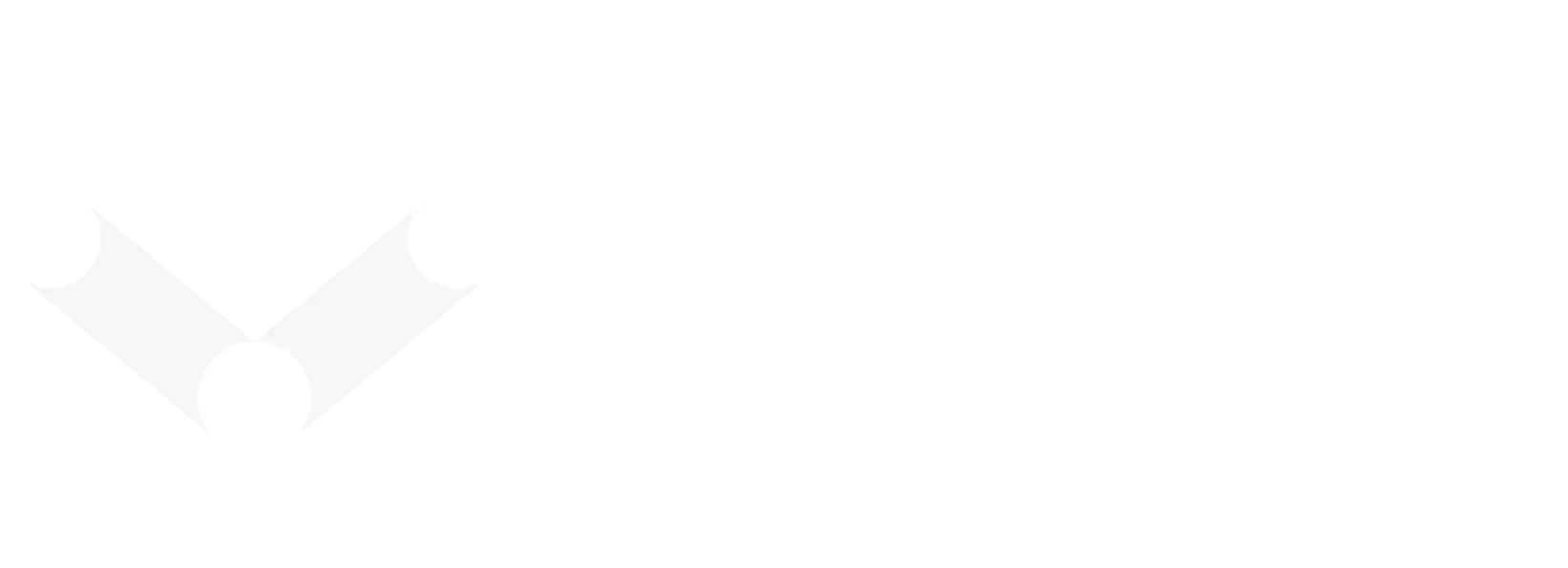 Vlaams Patiëntenplatform vzw